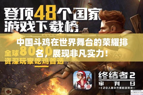 中國斗雞在世界舞臺的榮耀排名，展現非凡實力！
