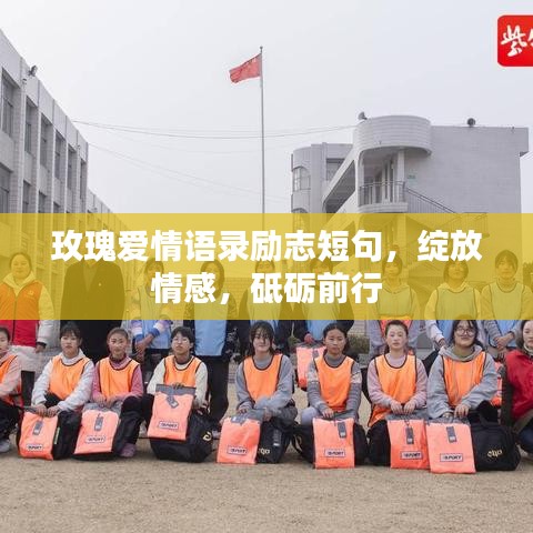玫瑰愛(ài)情語(yǔ)錄勵(lì)志短句，綻放情感，砥礪前行