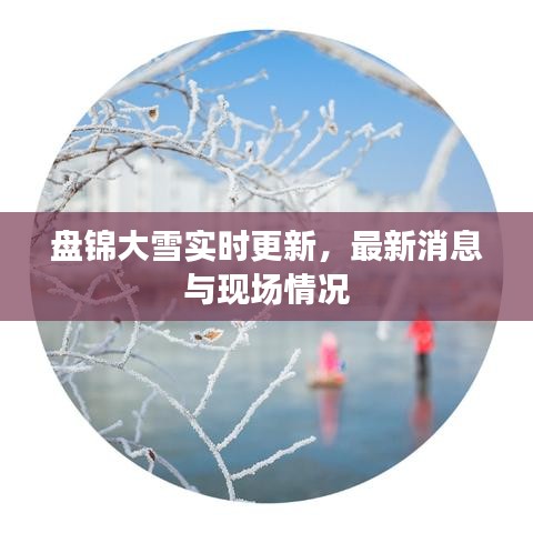 盤錦大雪實時更新，最新消息與現場情況
