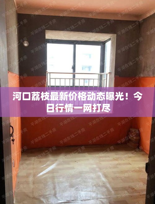 河口荔枝最新價(jià)格動(dòng)態(tài)曝光！今日行情一網(wǎng)打盡