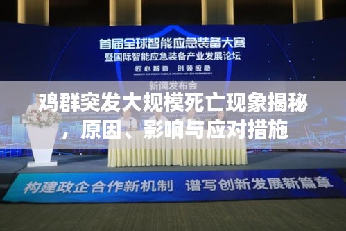 雞群突發(fā)大規(guī)模死亡現(xiàn)象揭秘，原因、影響與應(yīng)對(duì)措施