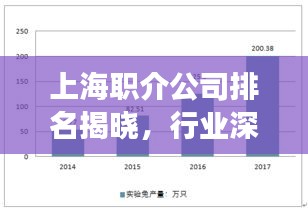 上海職介公司排名揭曉，行業(yè)深度分析與前景展望