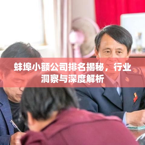蚌埠小額公司排名揭秘，行業(yè)洞察與深度解析