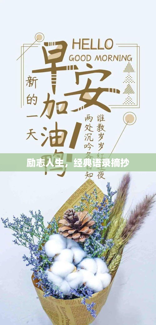 勵(lì)志人生，經(jīng)典語錄摘抄