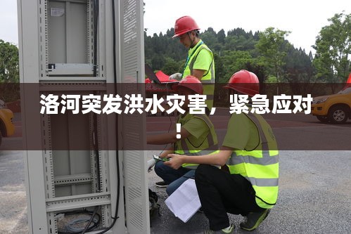 洛河突發(fā)洪水災(zāi)害，緊急應(yīng)對(duì)！