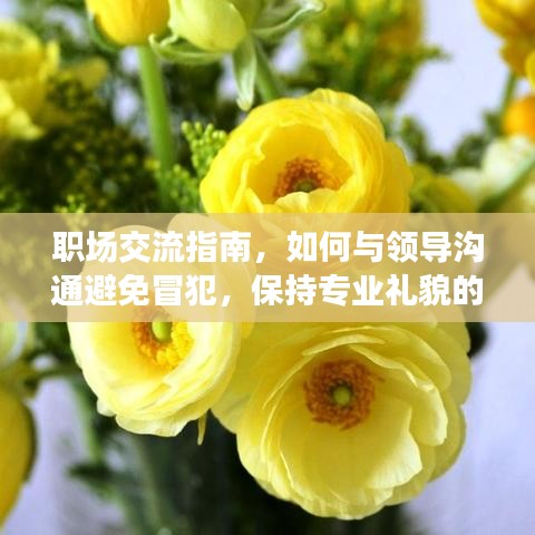 職場交流指南，如何與領導溝通避免冒犯，保持專業禮貌的表達方式