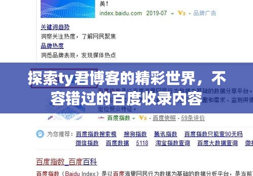 探索ty君博客的精彩世界，不容錯過的百度收錄內(nèi)容