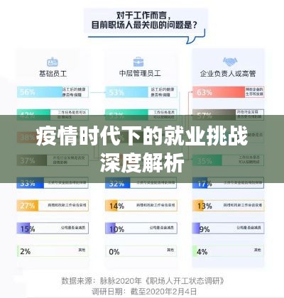 疫情時(shí)代下的就業(yè)挑戰(zhàn)深度解析
