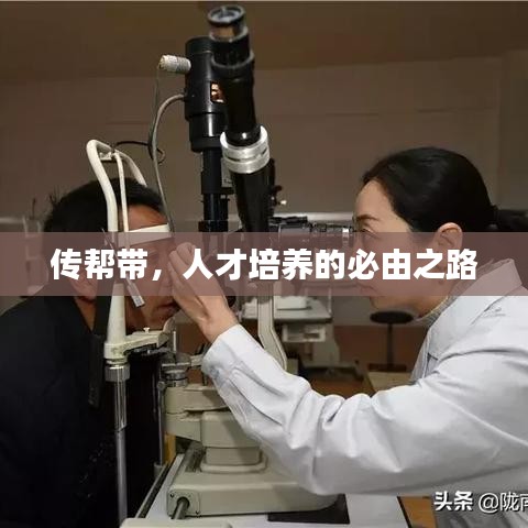 傳幫帶，人才培養(yǎng)的必由之路