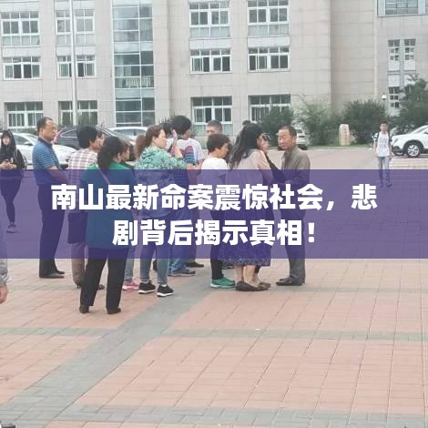 南山最新命案震驚社會(huì)，悲劇背后揭示真相！