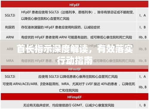 首長指示深度解讀，有效落實行動指南