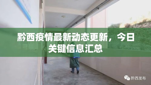黔西疫情最新動態更新，今日關鍵信息匯總