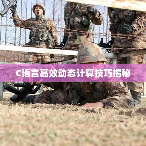 C語言高效動態(tài)計算技巧揭秘