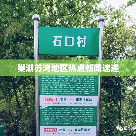 巢湖蘇灣地區(qū)熱點新聞速遞