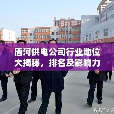 唐河供電公司行業(yè)地位大揭秘，排名及影響力解析