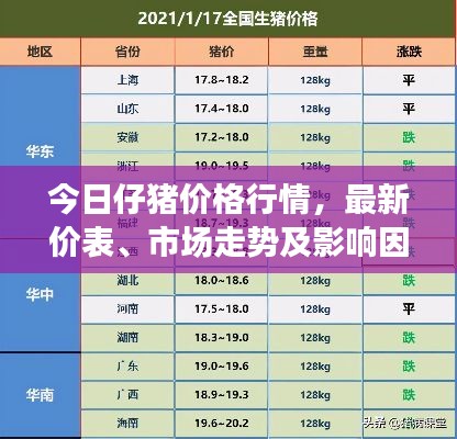 今日仔豬價(jià)格行情，最新價(jià)表、市場走勢及影響因素深度解析