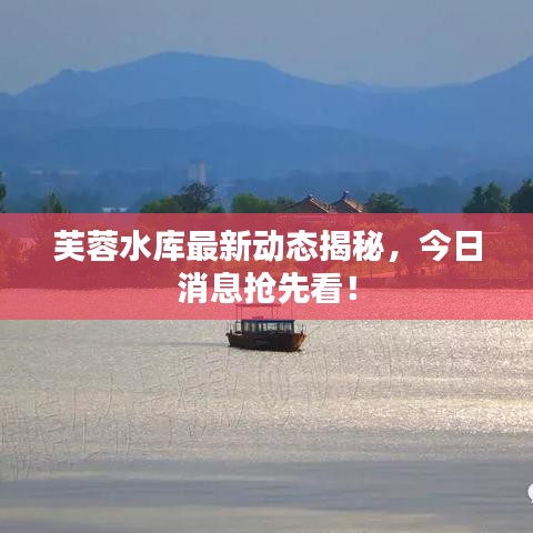 芙蓉水庫最新動態揭秘，今日消息搶先看！