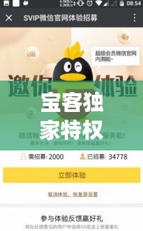 寶客獨家特權(quán)，尊享特惠，開啟貴賓尊享體驗之旅