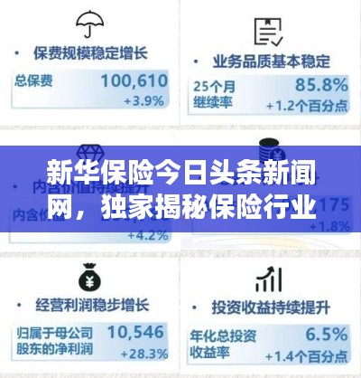 新華保險今日頭條新聞網(wǎng)，獨家揭秘保險行業(yè)最新動態(tài)與趨勢