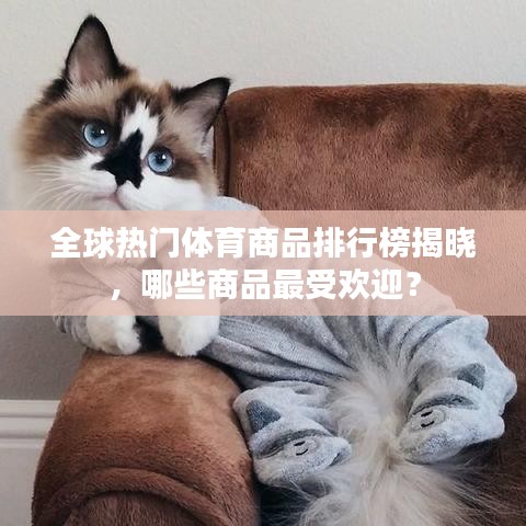 全球熱門體育商品排行榜揭曉，哪些商品最受歡迎？