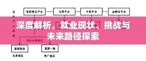 深度解析，就業現狀、挑戰與未來路徑探索