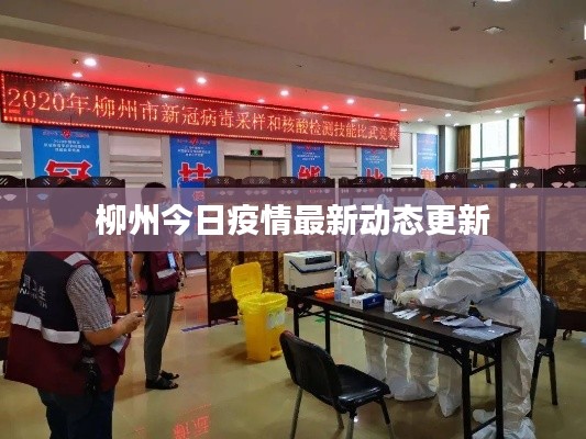 柳州今日疫情最新動態(tài)更新