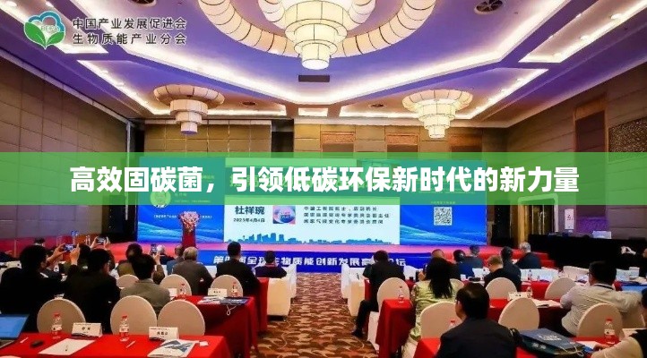 高效固碳菌，引領低碳環保新時代的新力量