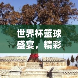 世界杯籃球盛宴，精彩瞬間一網(wǎng)打盡！