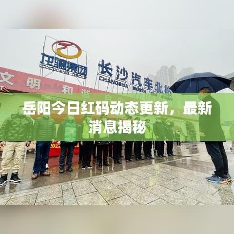 岳陽(yáng)今日紅碼動(dòng)態(tài)更新，最新消息揭秘