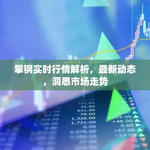 攀鋼實(shí)時(shí)行情解析，最新動態(tài)，洞悉市場走勢