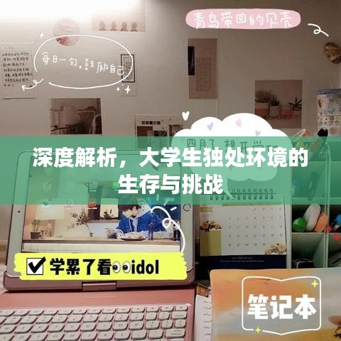 深度解析，大學生獨處環境的生存與挑戰