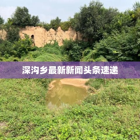雞飛狗跳