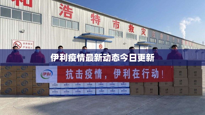 伊利疫情最新動態今日更新