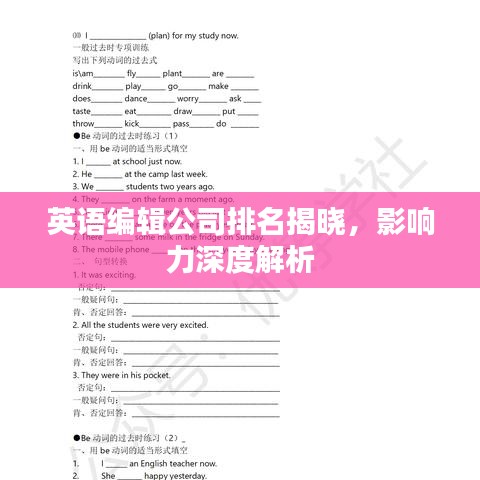 政企行業數字化軟件 第30頁