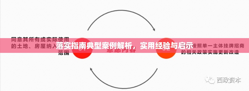 落實指南典型案例解析，實用經驗與啟示