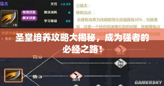 圣堂培養(yǎng)攻略大揭秘，成為強(qiáng)者的必經(jīng)之路！