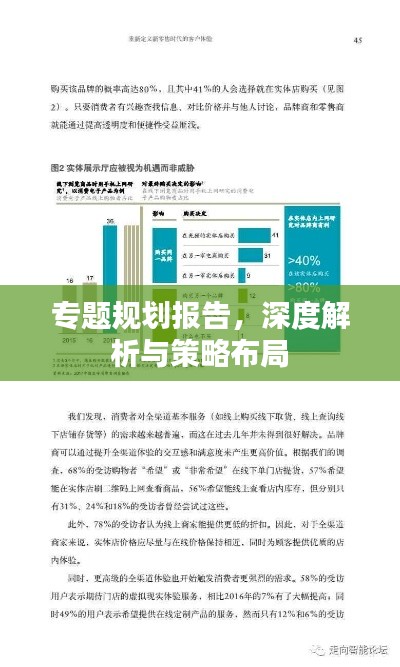 專題規(guī)劃報(bào)告，深度解析與策略布局