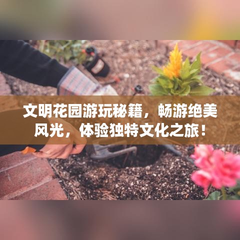 文明花園游玩秘籍，暢游絕美風光，體驗獨特文化之旅！