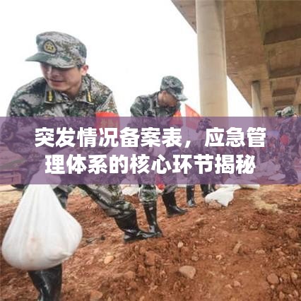 突發情況備案表，應急管理體系的核心環節揭秘