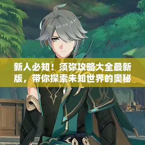 新人必知！須彌攻略大全最新版，帶你探索未知世界的奧秘