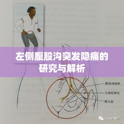 左側腹股溝突發隱痛的研究與解析