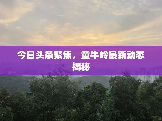 今日頭條聚焦，童牛嶺最新動(dòng)態(tài)揭秘