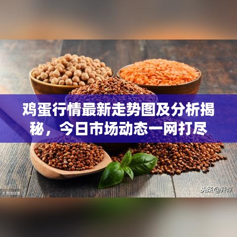 雞蛋行情最新走勢圖及分析揭秘，今日市場動態(tài)一網(wǎng)打盡