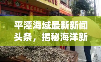 平潭海域最新新聞?lì)^條，揭秘海洋新動(dòng)態(tài)