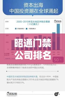 昭通門禁公司排名揭秘，行業深度分析與趨勢解讀