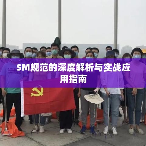 SM規范的深度解析與實戰應用指南