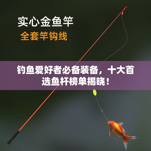 釣魚愛好者必備裝備，十大首選魚桿榜單揭曉！