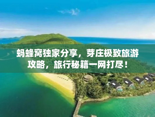 螞蜂窩獨家分享，芽莊極致旅游攻略，旅行秘籍一網打盡！