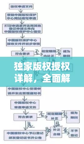獨家版權授權詳解，全面解析+操作指南，快速查詢授權狀態！