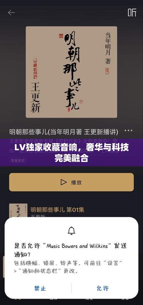LV獨家收藏音響，奢華與科技完美融合